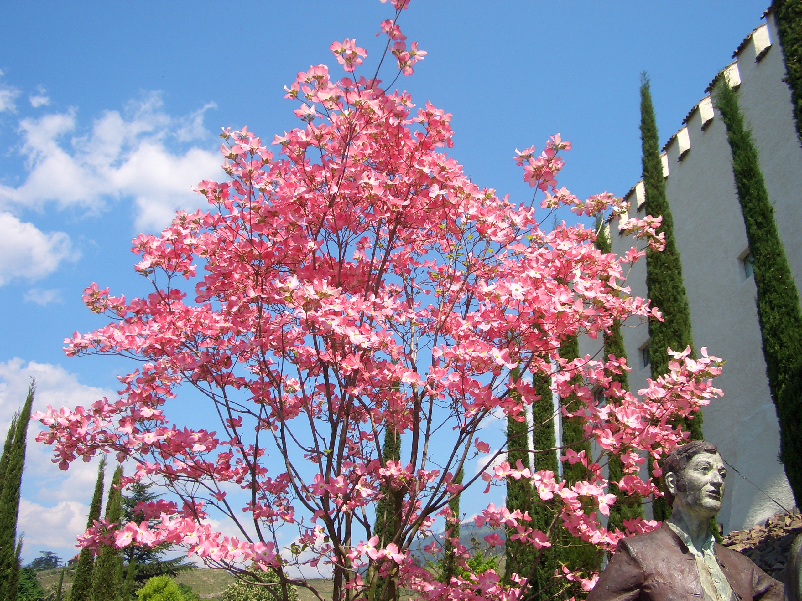 Frühlingsgenuss: 7 Tage bleiben – nur 6 bezahlen!