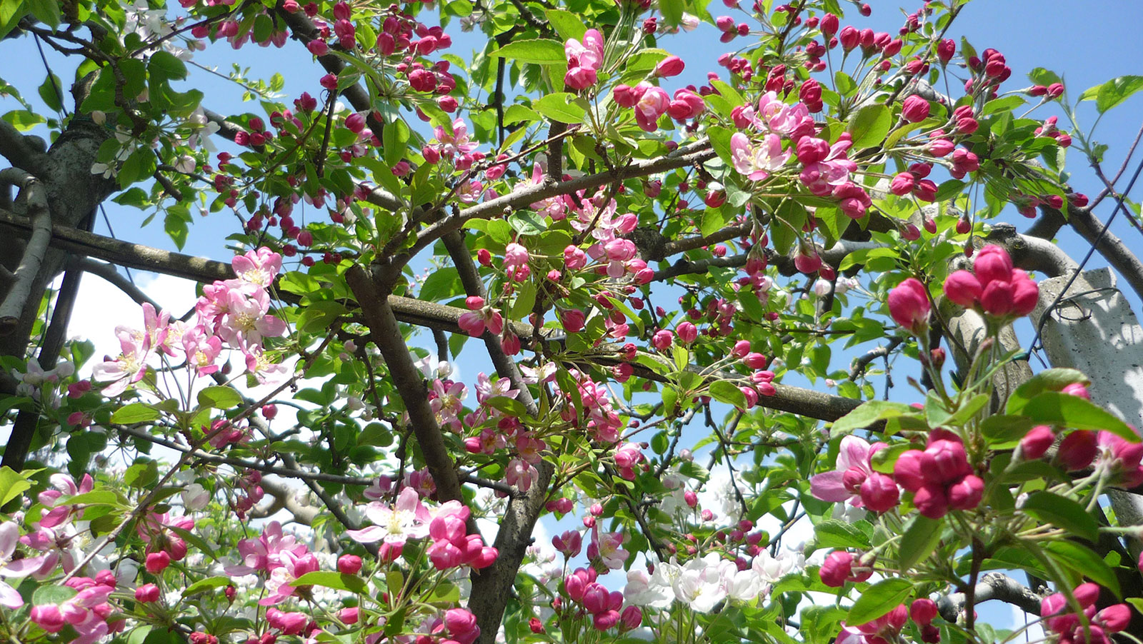 Frühling erleben: 10 % Rabatt & GuestCard