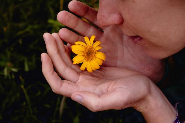 Magic of Nature & cure herbs around our BIO Hotel