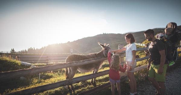 Offerta di primavera