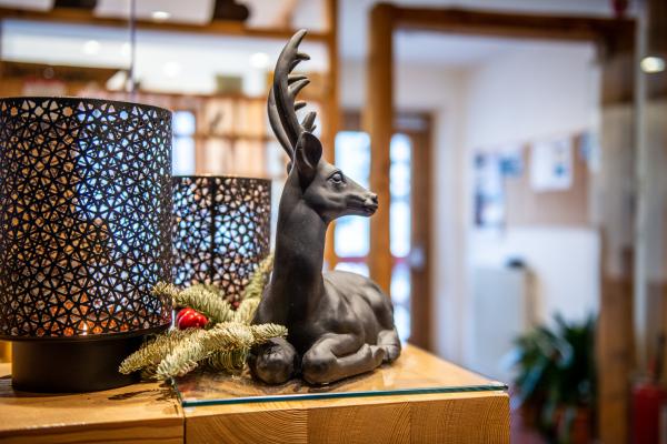 Esperienze escursionistiche