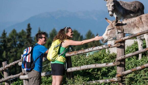 Spring Awakening – Mountains, Sunshine & Relax