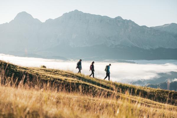 Magic autumn from 6 days 1 is for free!