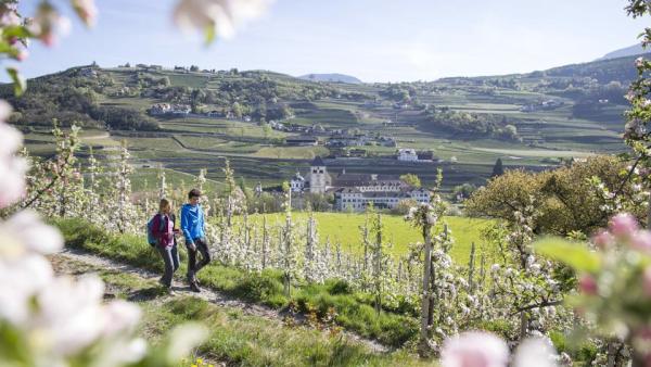 Frühlingsspecial – April im Traube
