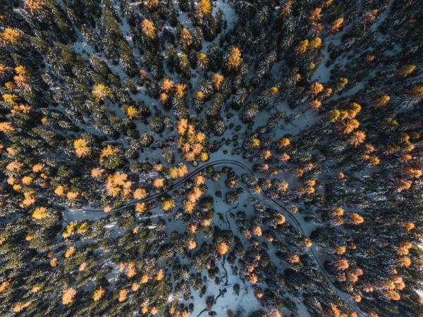 Bad Moos – aperti anche a novembre