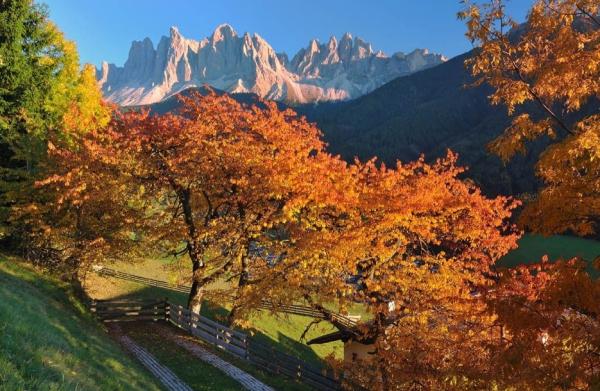 Autumn Magic in South Tyrol