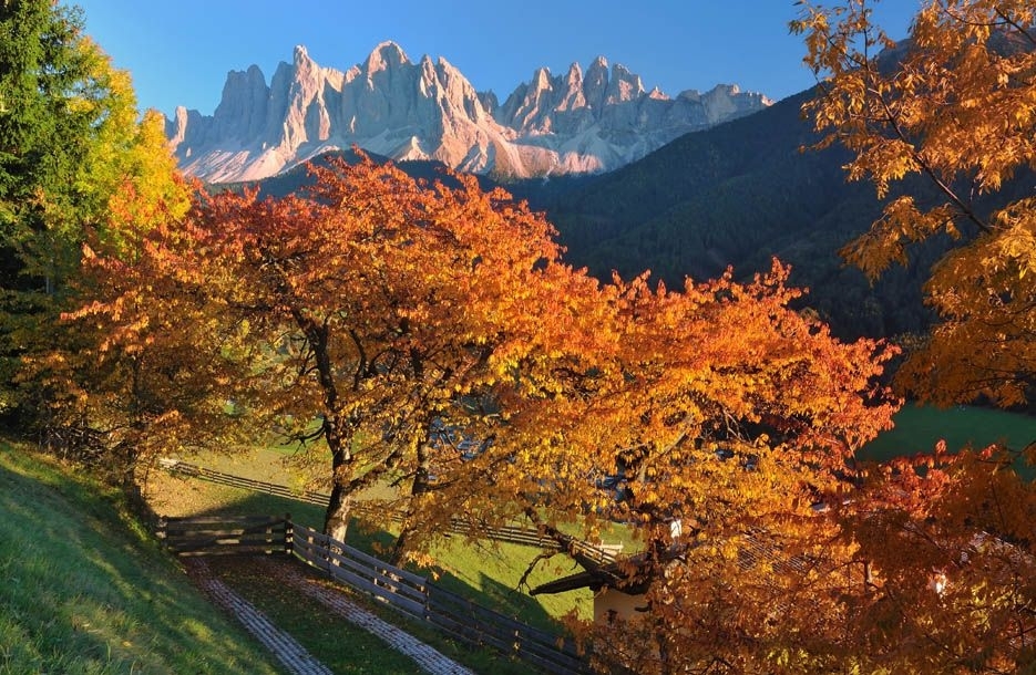 Autumn Magic in South Tyrol