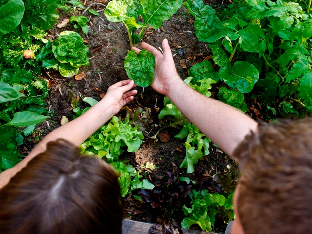 Speciale Junior Club 8-12 anni